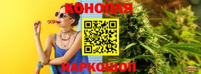 крисы Тулун