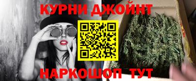 крисы Тулун